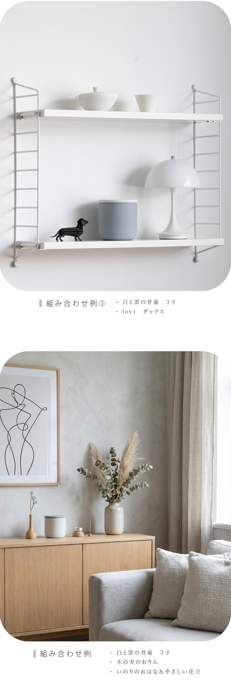 ��ȱ��ι��ۡ����������ѥ��᡼��