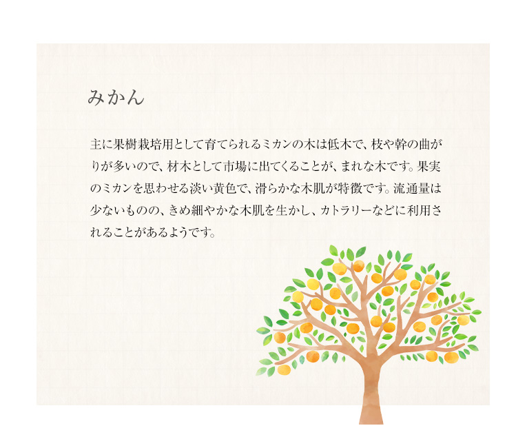 ŷ���ڤ���ħ������������Ǻ�