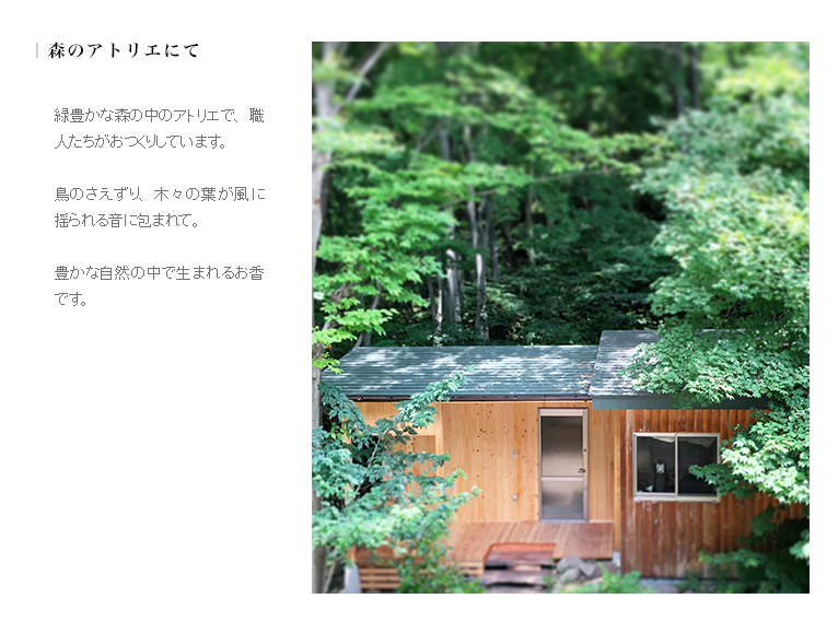 やさしいお香 伊勢神宮杉(30本入り） | いのりオーケストラショップ