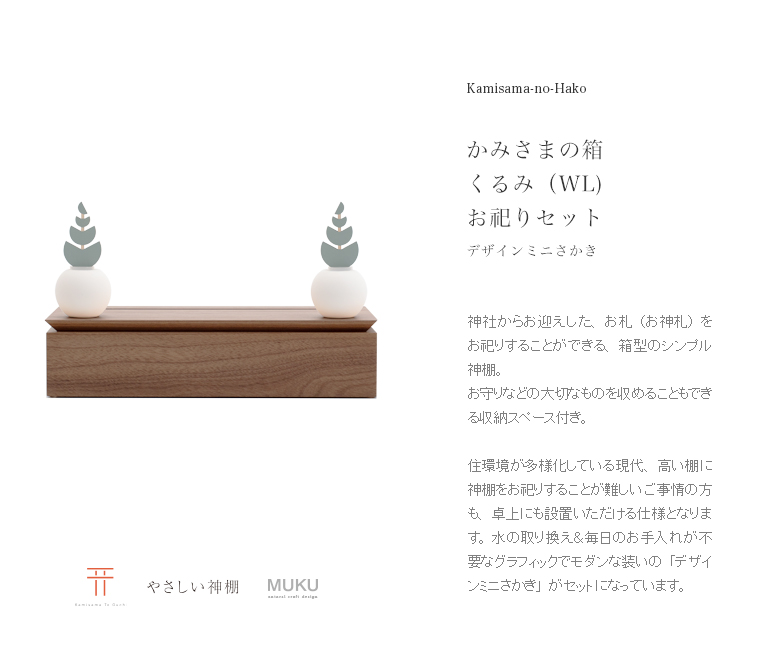 王妃笹の雪_A型 – ROUKA – Succulents Note