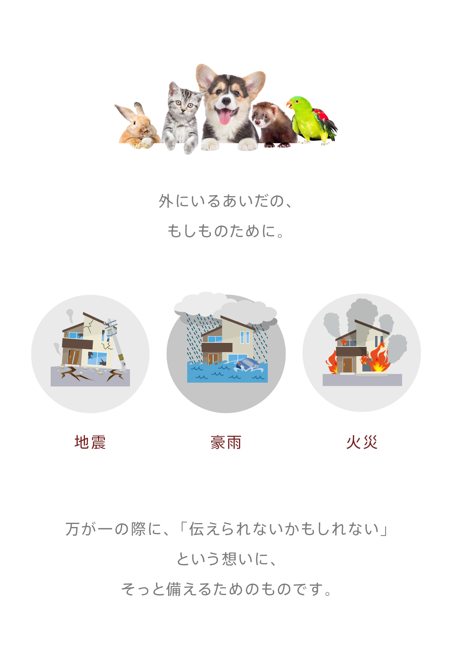 �۵޻��ε߽��Τ��ꤤ�ޥ��ͥåȡ�����